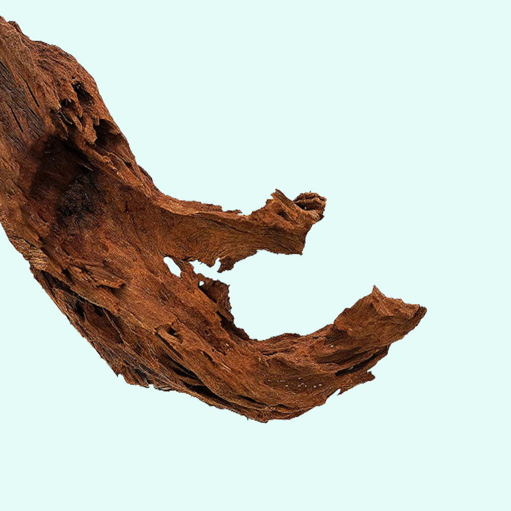 Malaysian Drift Wood Aquascaping Aquarium Decoration