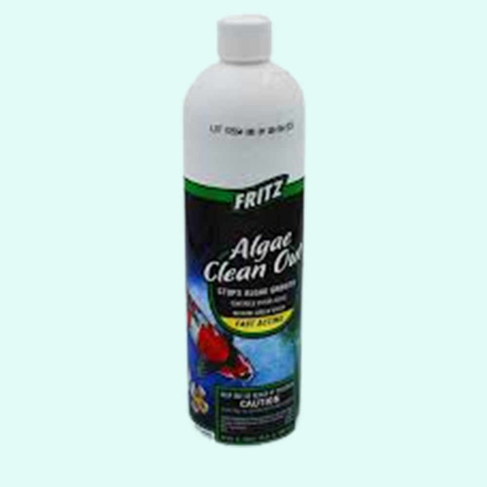 Fritz Algae Clean Out Parent (8 oz)