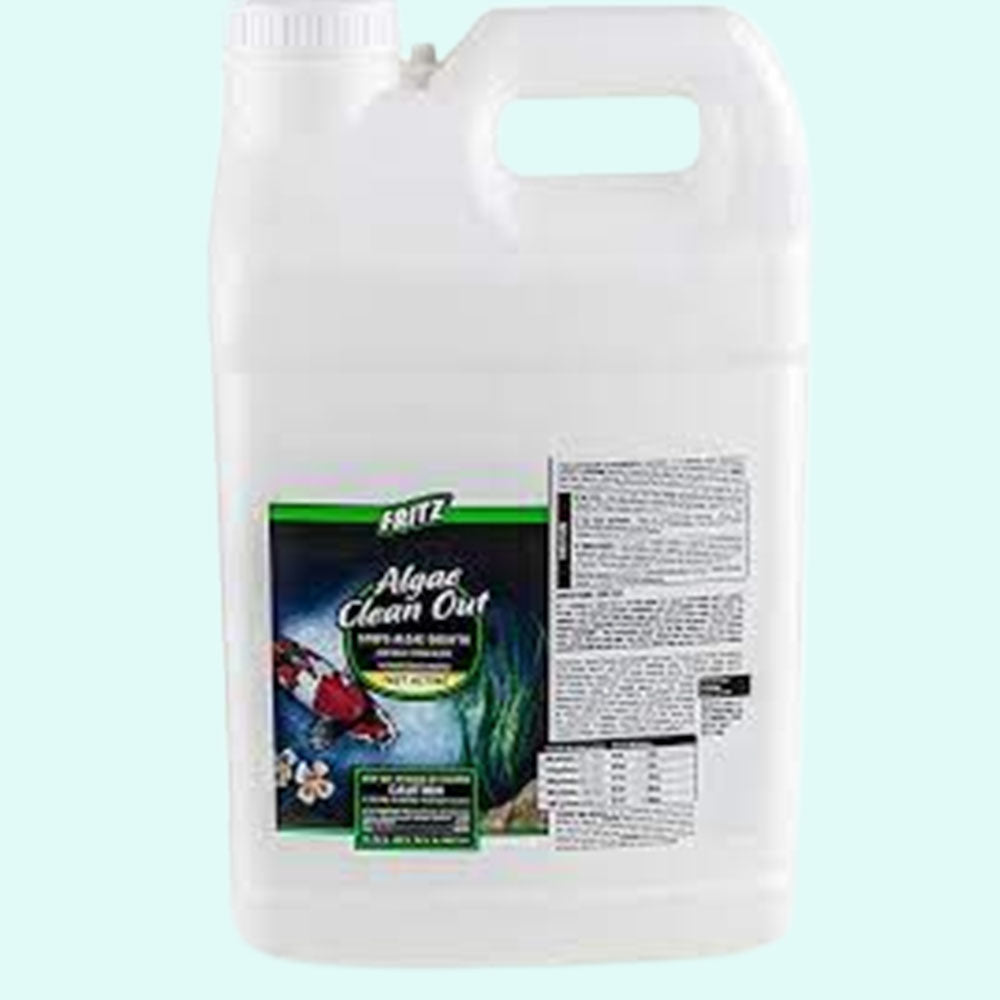 Fritz Algae Clean Out Parent (8 oz)