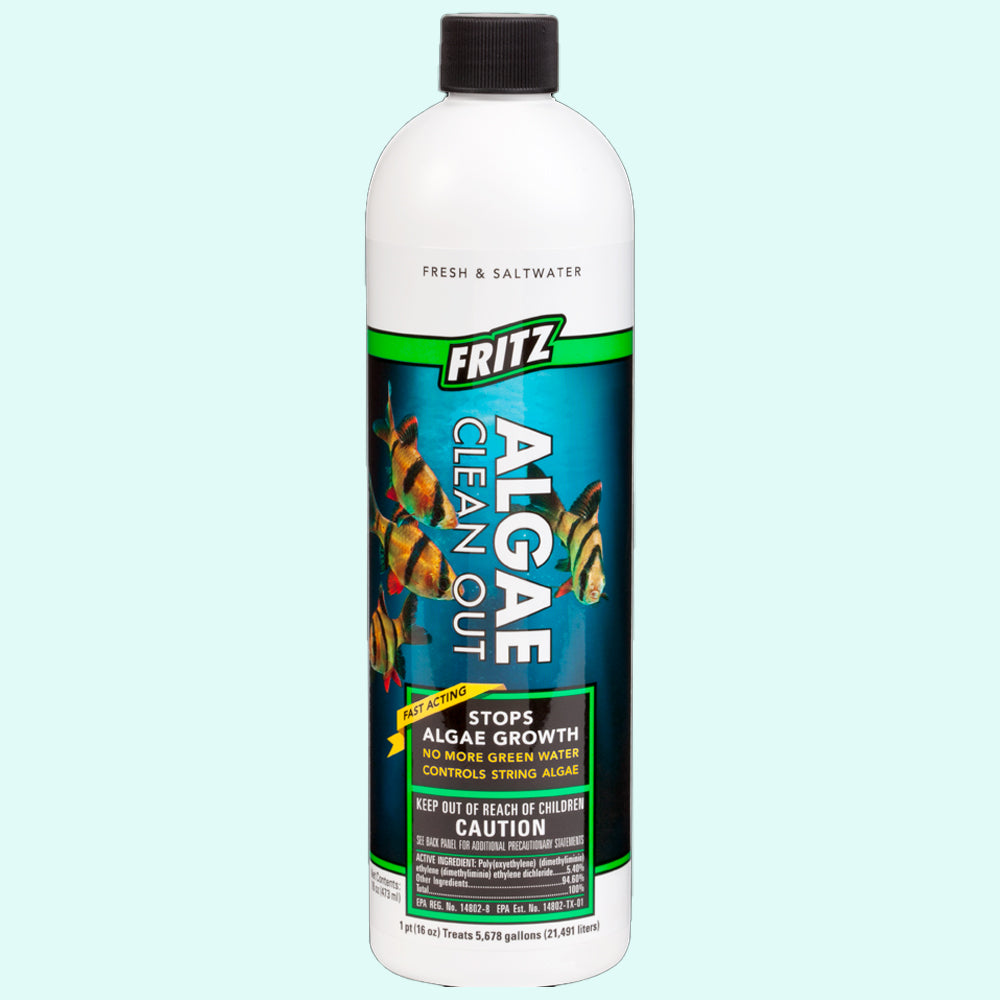 Fritz Algae Clean Out Parent (8 oz)