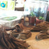 Malaysian Drift Wood Aquascaping Aquarium Decoration