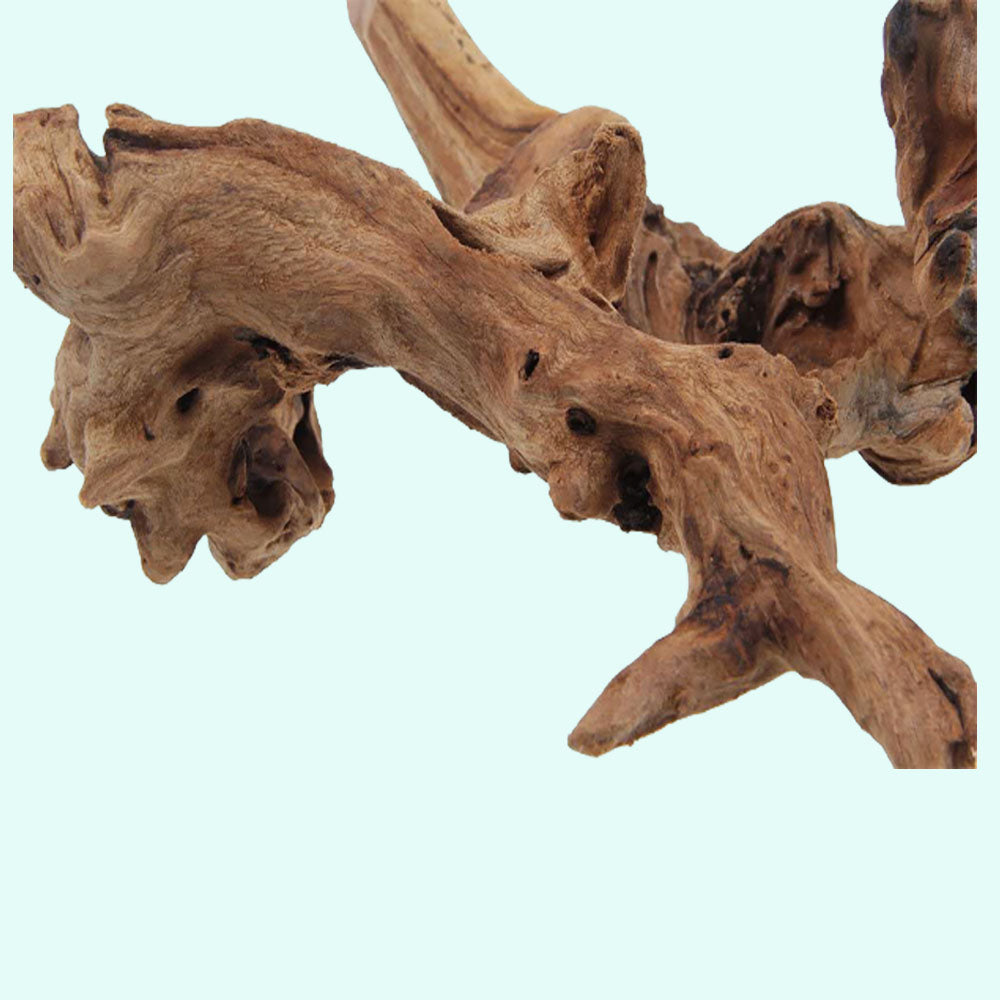 Malaysian Drift Wood Aquascaping Aquarium Decoration