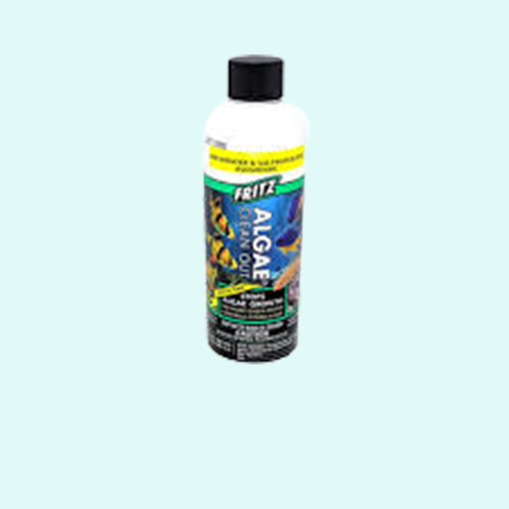 Fritz Algae Clean Out Parent (8 oz)