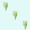 BUNDLE (3) Medium Water Sprite Lace Leaf